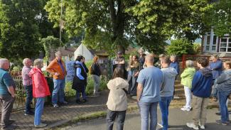 Exkursion zum Wildbienengarten Annweiler am 10.6.2026